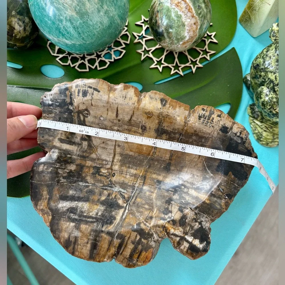 Petrified Wood bowl from Indonesia - Picture 9 of 9